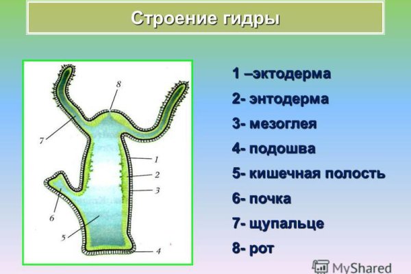 Ссылка кракен vtor run